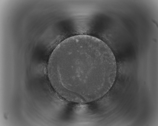 X0000100230313200806061415