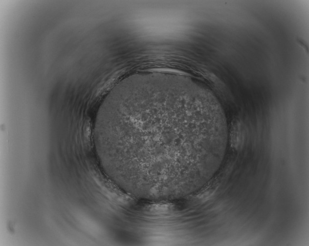 X0000100230314200806061415