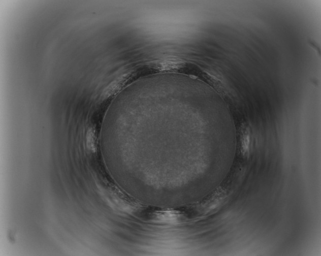 X0000100230316200806061415