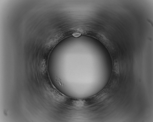 X0000100230318200806061415