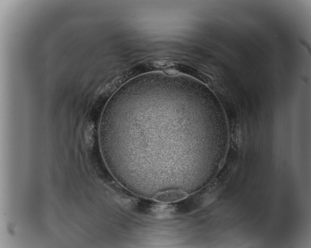 X0000100230319200806061415