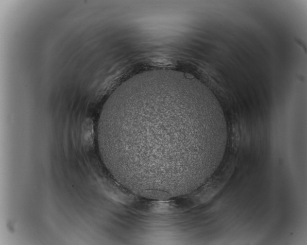 X0000100230320200806061415