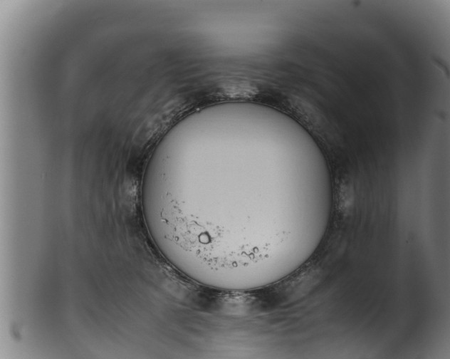 X0000100230321200806061415