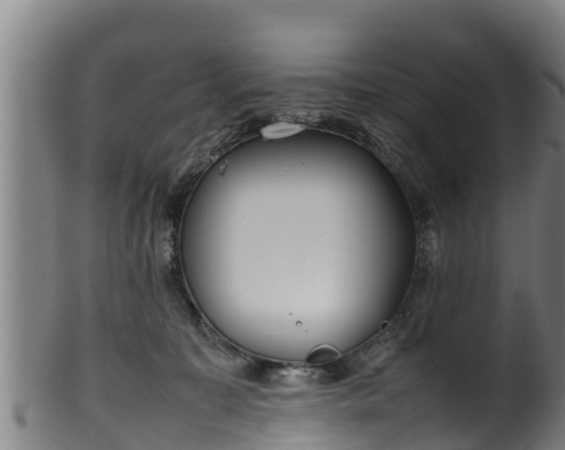 X0000100230323200806061415