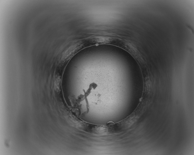 X0000100230325200806061415