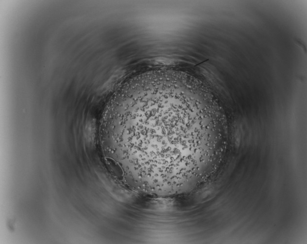 X0000100230328200806061415