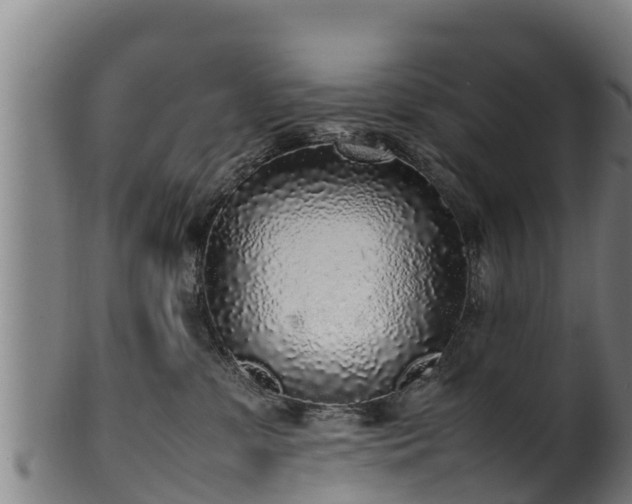 X0000100230331200806061415