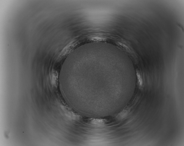 X0000100230332200806061415