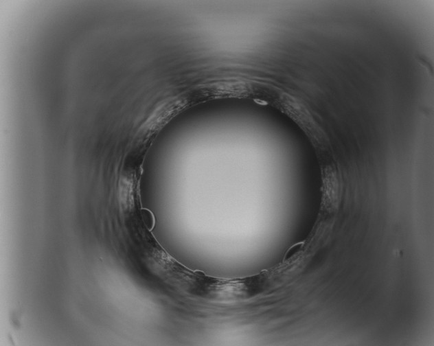 X0000100230333200806061415