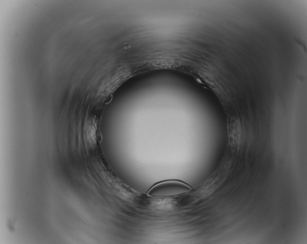 X0000100230334200806061415