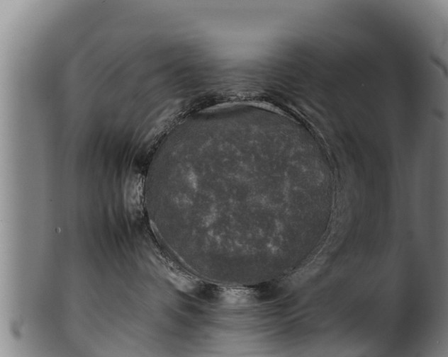 X0000100230336200806061415