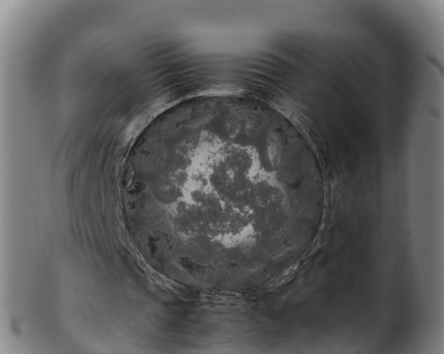 X0000100230337200806061414