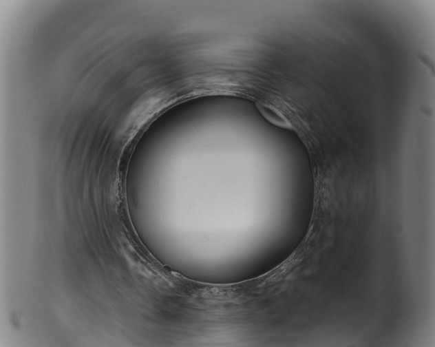 X0000100230338200806061414