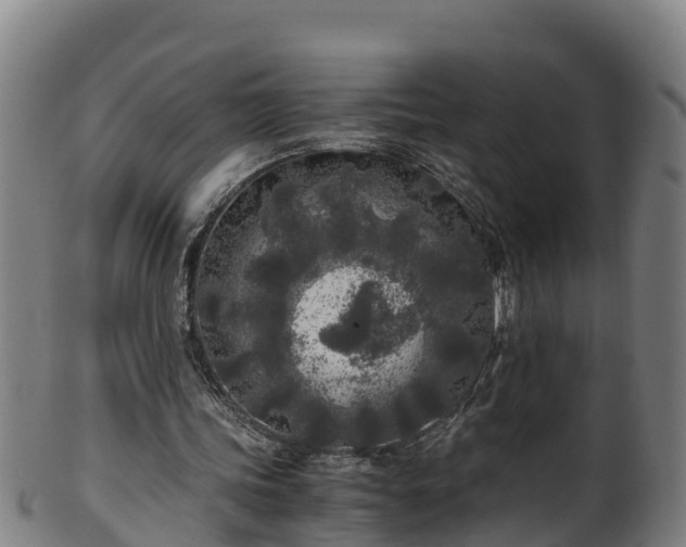 X0000100230339200806061414