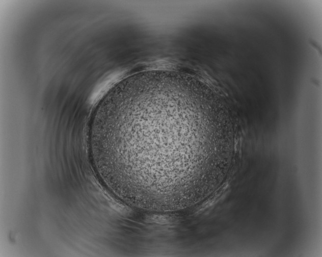 X0000100230341200806061414