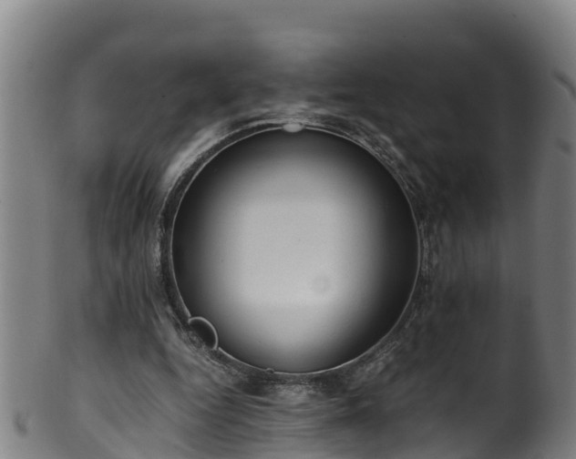 X0000100230344200806061414