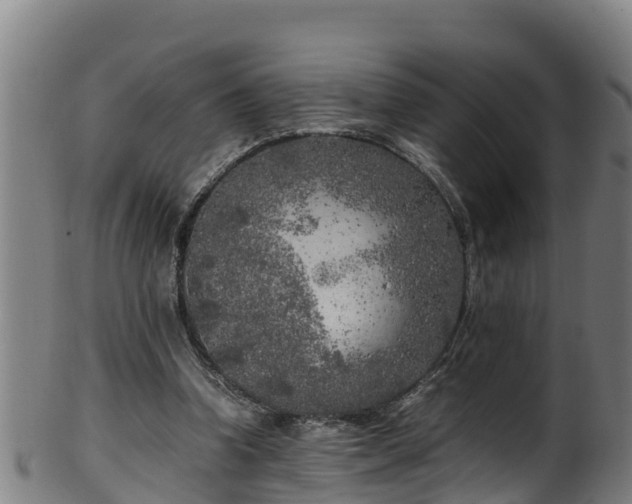 X0000100230346200806061414