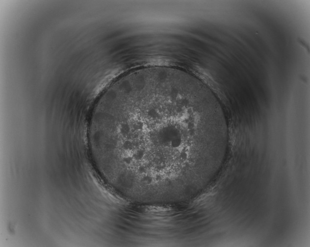 X0000100230347200806061415