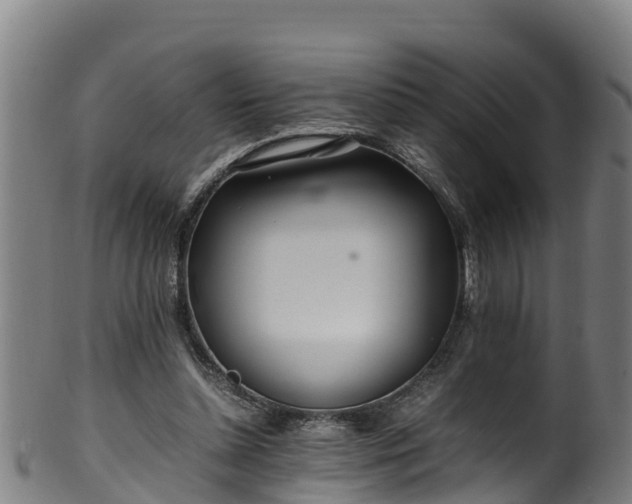 X0000100230348200806061415