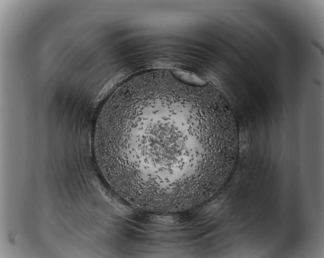 X0000100230349200806061415