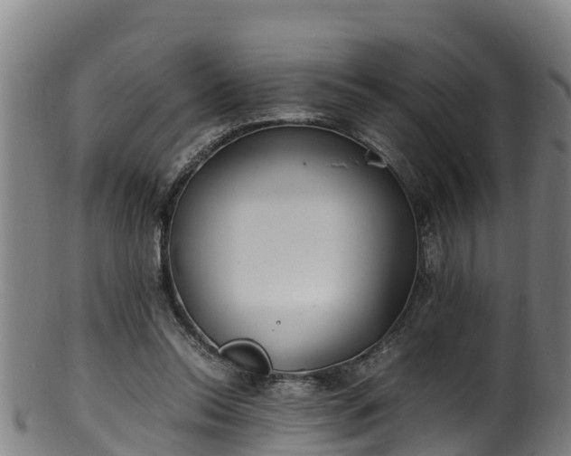 X0000100230350200806061415