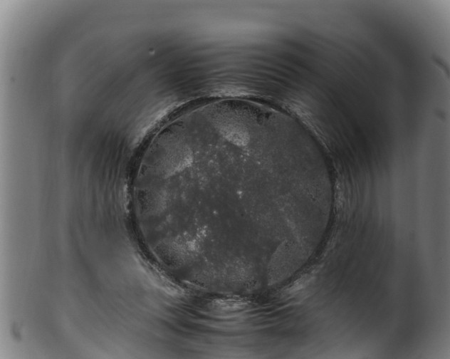 X0000100230351200806061415