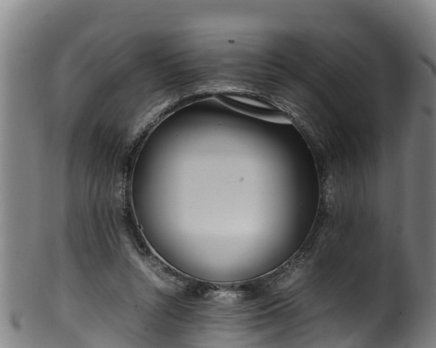 X0000100230352200806061415