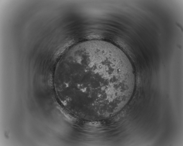 X0000100230353200806061415