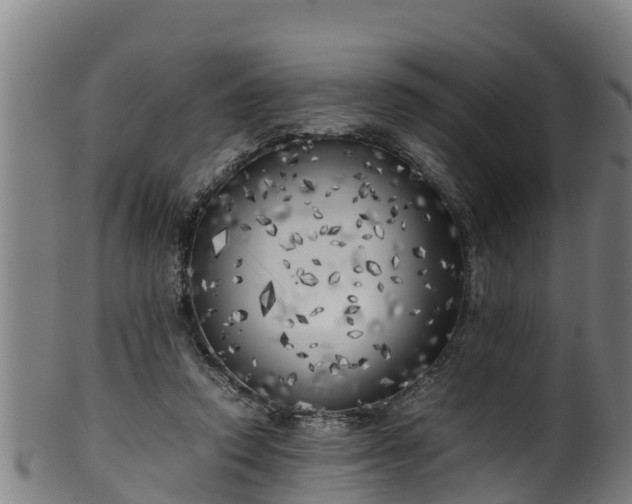 X0000100230354200806061415