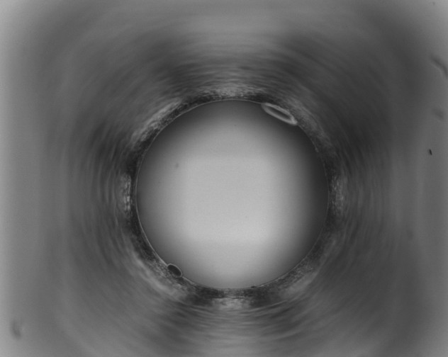 X0000100230356200806061415