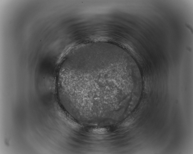 X0000100230357200806061415