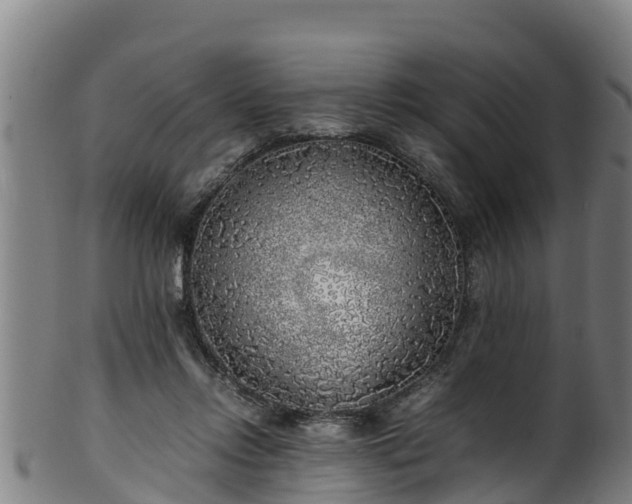 X0000100230358200806061415