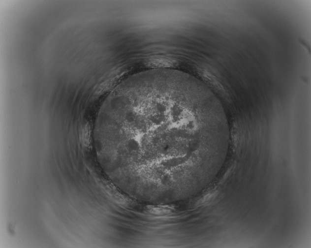 X0000100230359200806061415