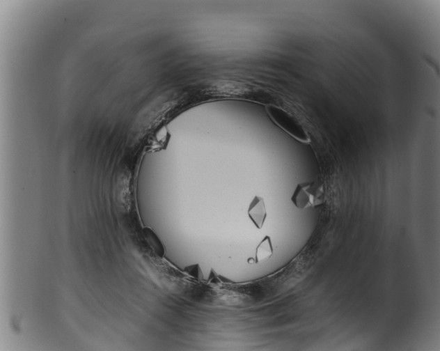 X0000100230360200806061415