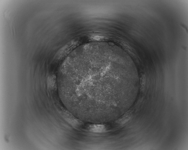 X0000100230361200806061415