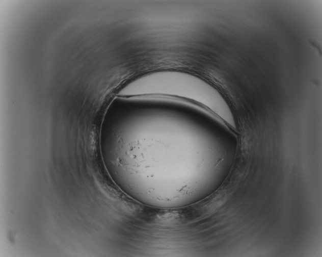 X0000100230362200806061415