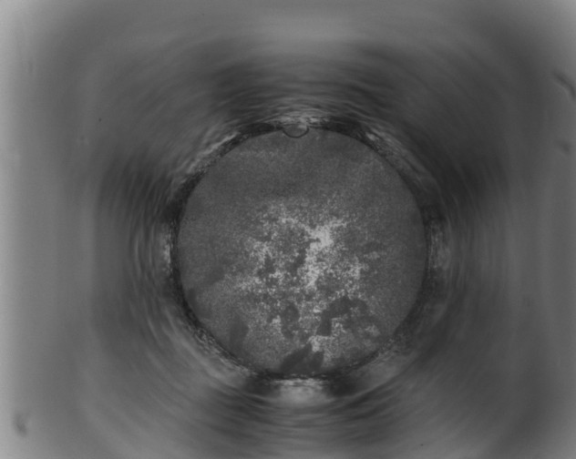 X0000100230363200806061415