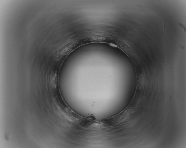 X0000100230364200806061415