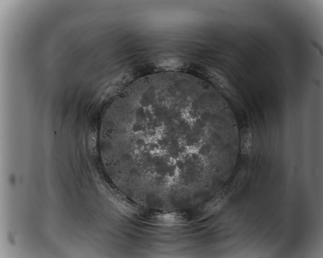 X0000100230365200806061415