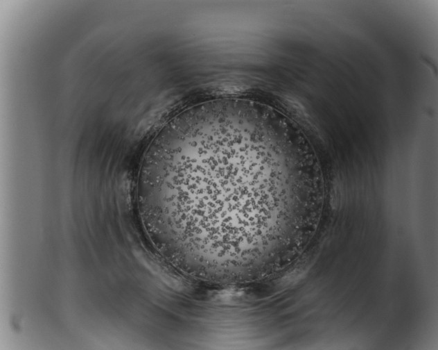 X0000100230366200806061415