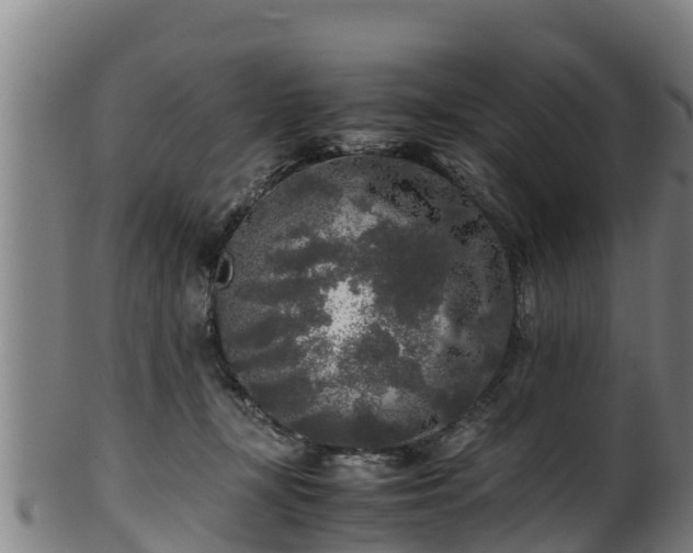 X0000100230367200806061415