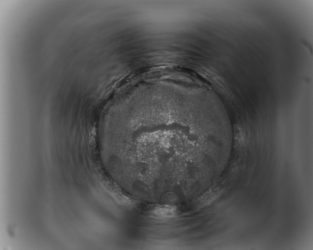 X0000100230369200806061415