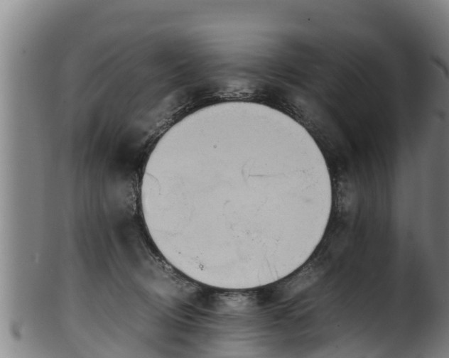 X0000100230370200806061415