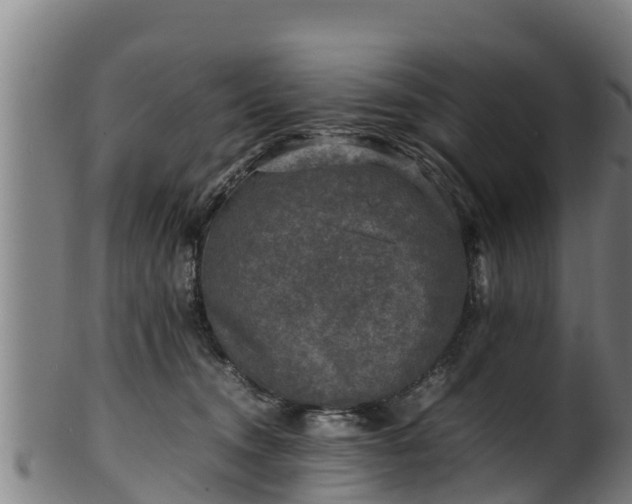 X0000100230372200806061415