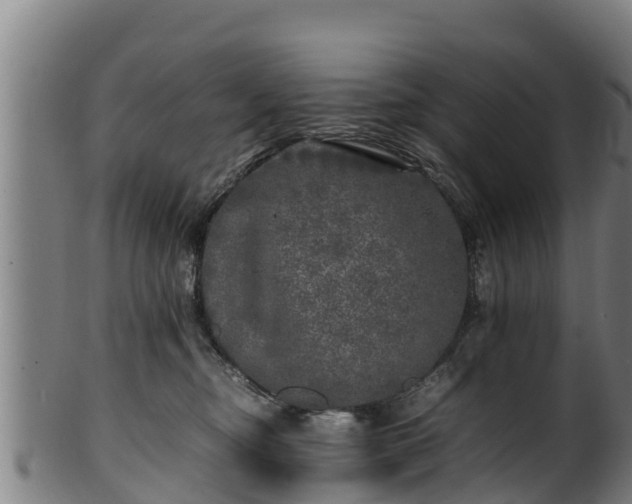 X0000100230374200806061415