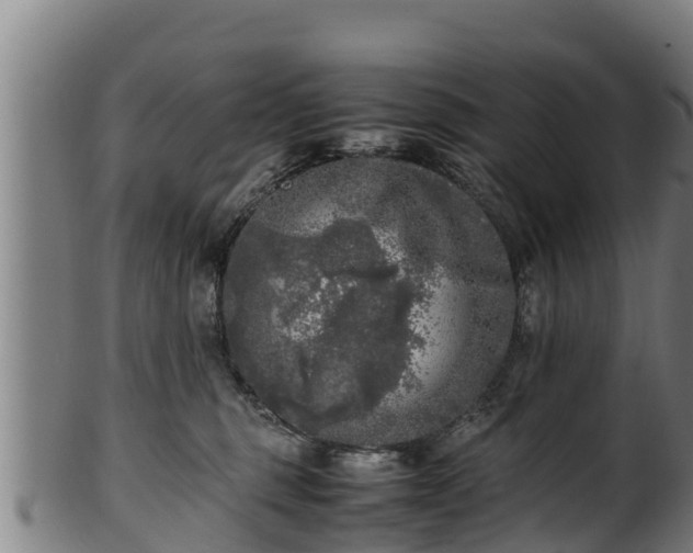 X0000100230375200806061415