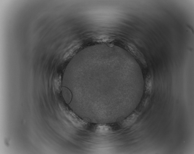 X0000100230376200806061415