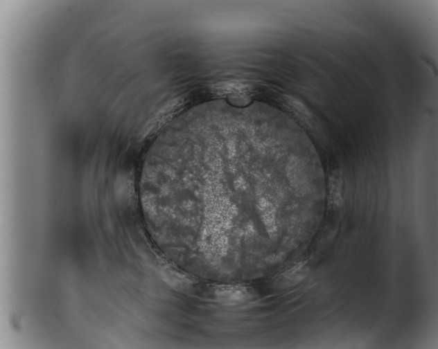 X0000100230377200806061415