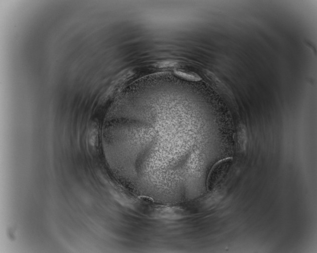 X0000100230379200806061415