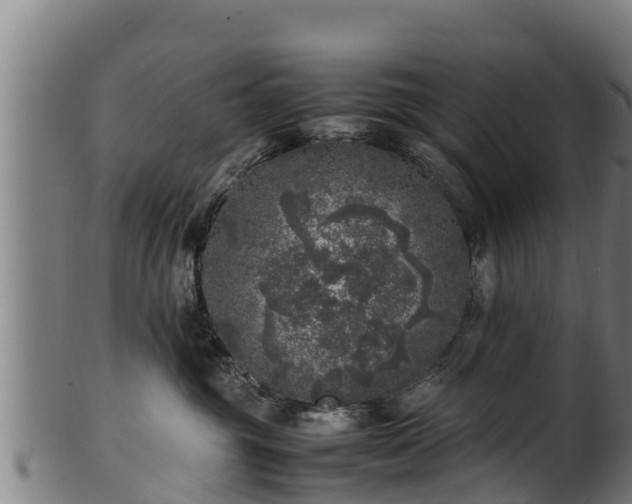 X0000100230381200806061415